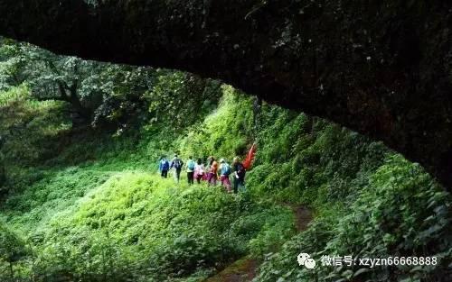 蔡厝南部护岸旧海堤改造工程取得新进展